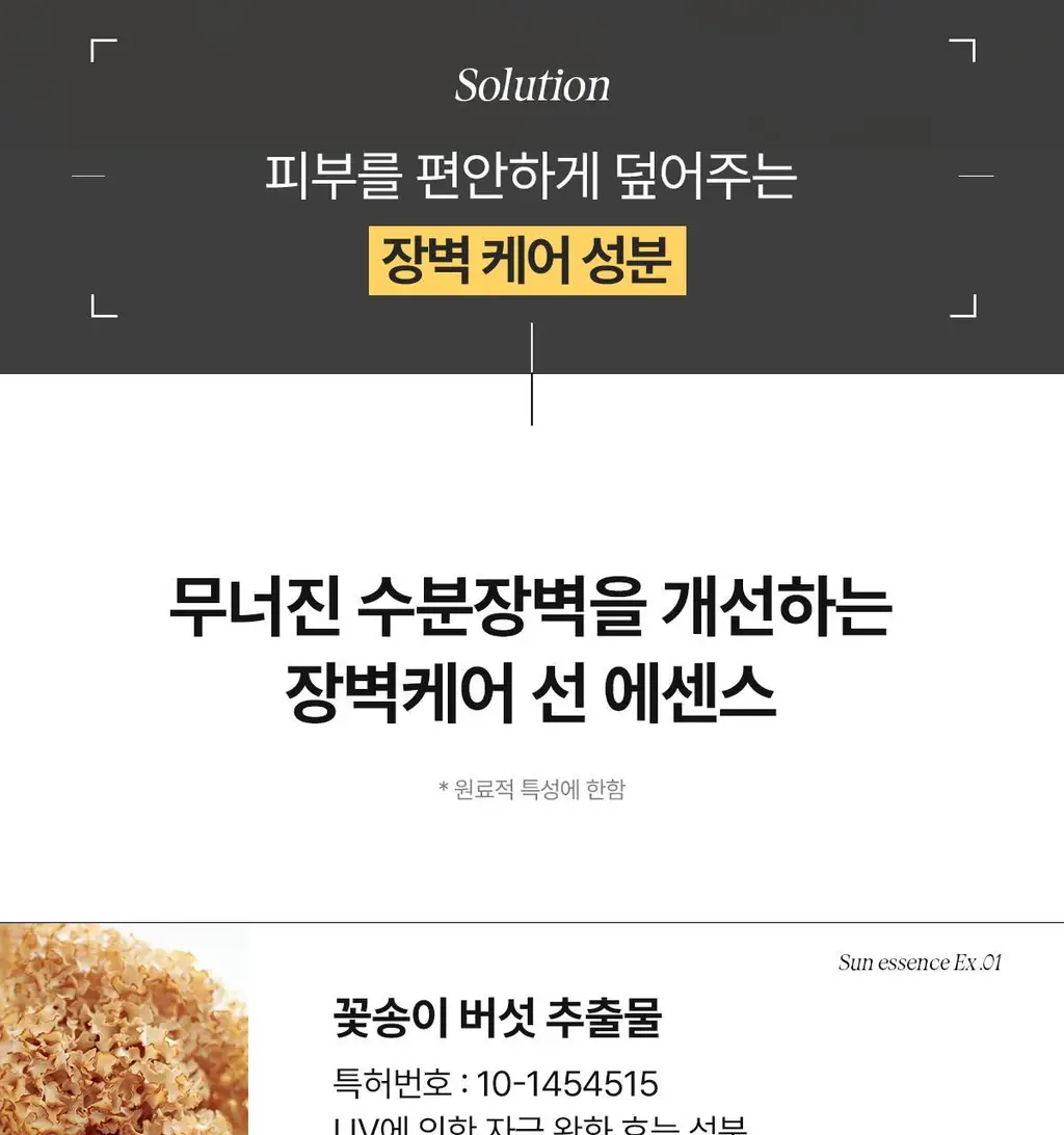 [여배우/전문가 Pick] 아떼 선케어 (선에센스EX / 무기자차 선크림 50ml 단품/기획 4종) 상세페이지 32